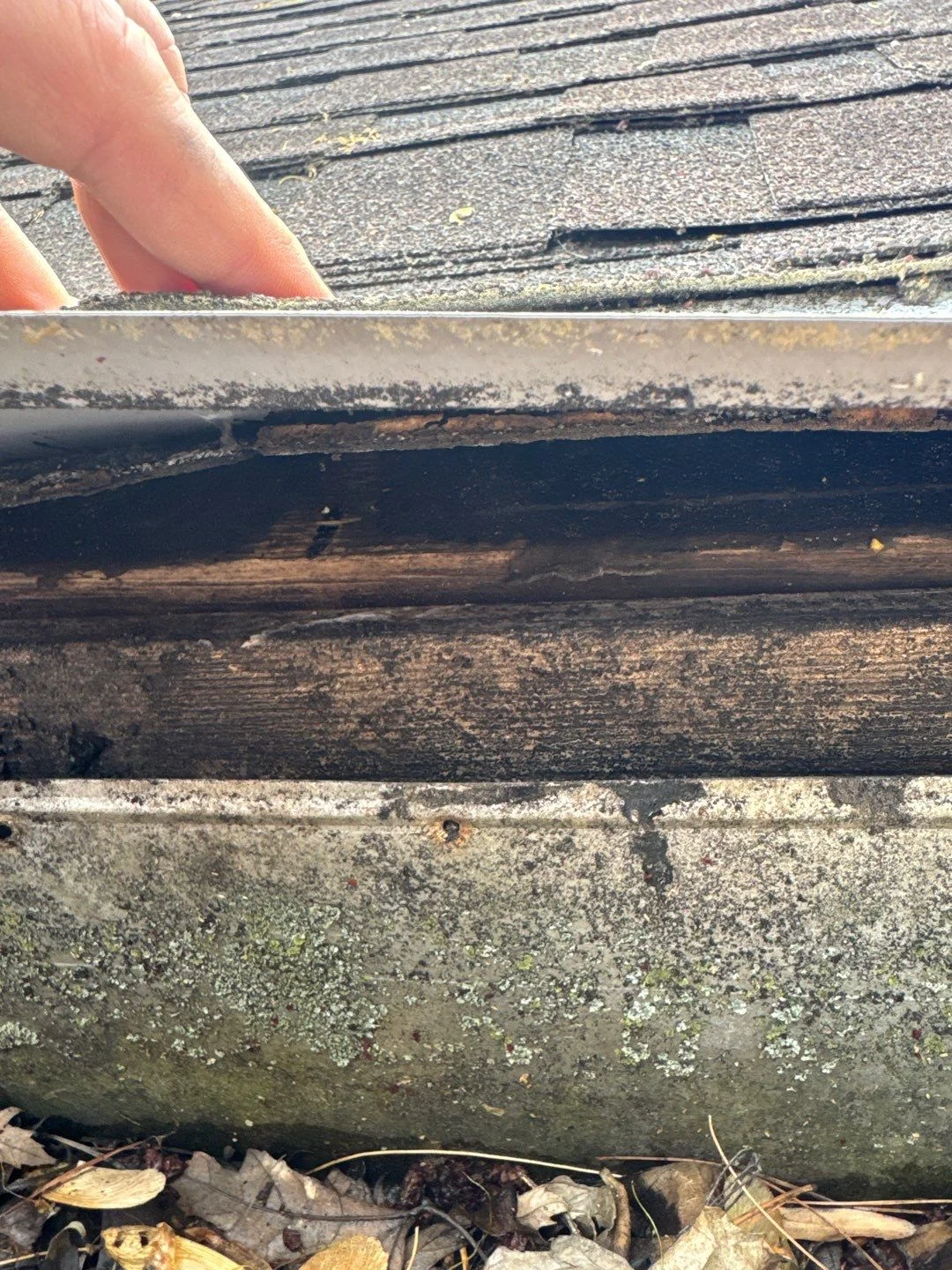 Commercial Roof Leak Causes in Sand Creek Woods, IN: Where Roofs Fail